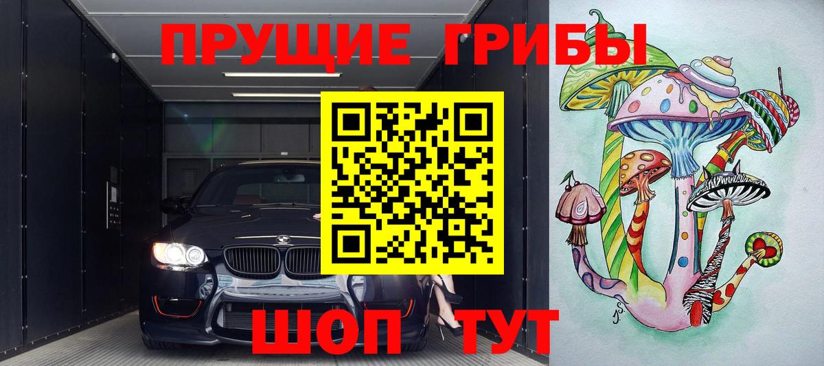 Иркутск  что такое   Вход с VPN  Псилоцибиновые грибы прущие грибы  Галлюциногенные грибы мухоморы 